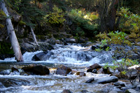 West Fork afternoon