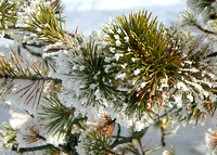 December