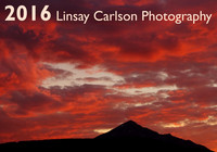 2016 Cover