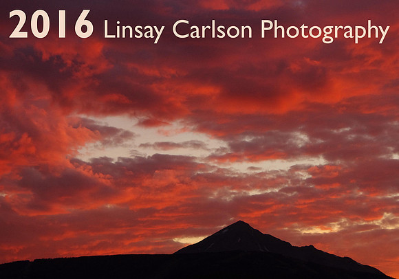 2016 Cover