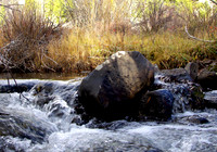 November 2015