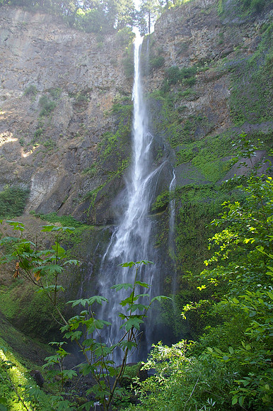 Upper Multnomah