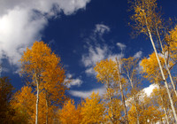 Skyward