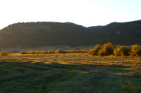 September hay