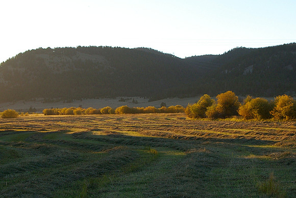 September hay