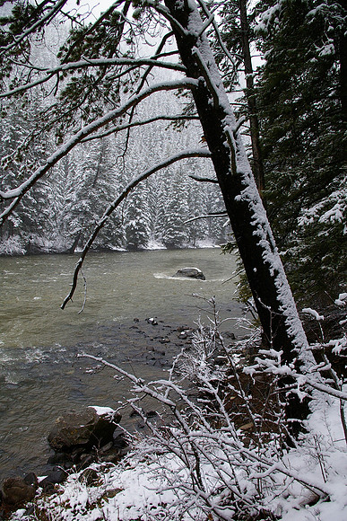 Gallatin snow