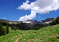 Spanish Peaks meadow