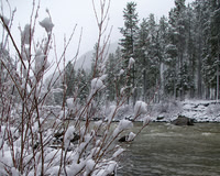 December ~ Gallatin River snow