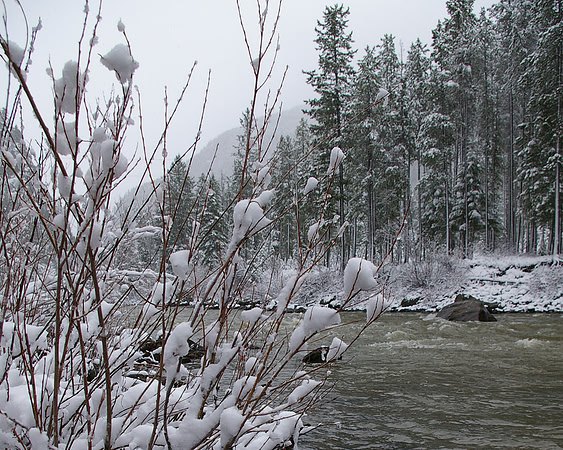 December ~ Gallatin River snow