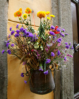 Street flowers