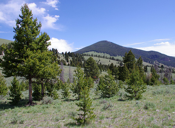 Pole Mountain
