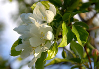 March 2011