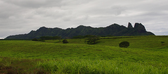 Kalalea