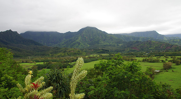 Hanalei Valley overlook