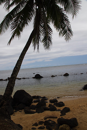Anini Beach