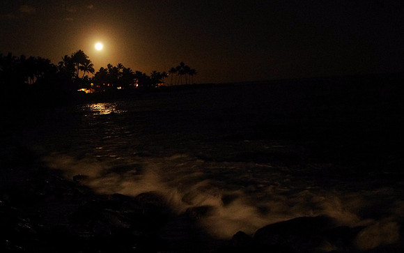 Moonlit waves