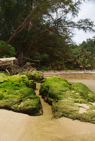 Mossy Moloaa rocks