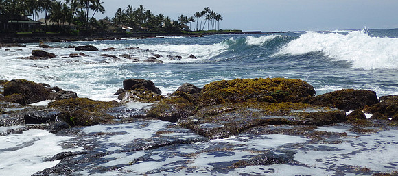 Koloa shore