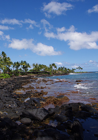 Rocky shore
