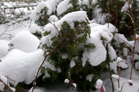 A little snow