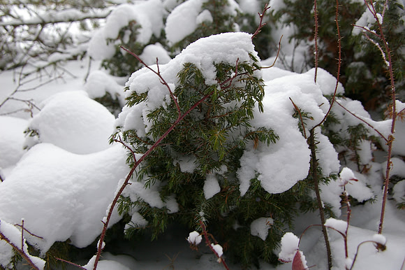 A little snow