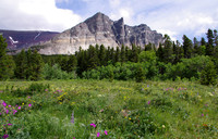 Apikuni Mountain