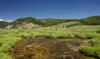 Gallatin River meadow