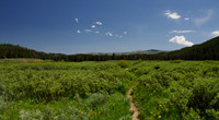 Fawn Pass trail