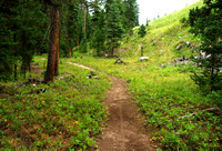 Trail