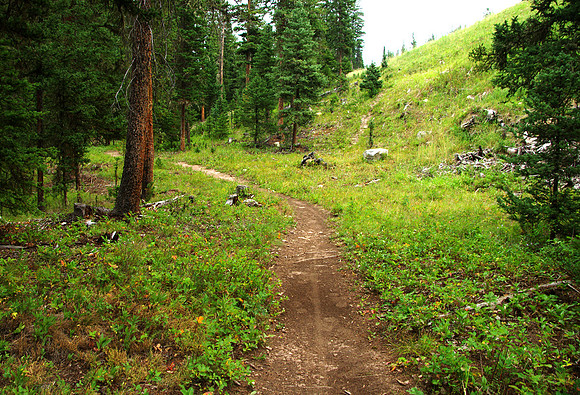 Trail