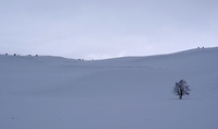 December