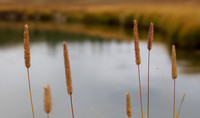 November