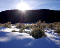 Winter shadows