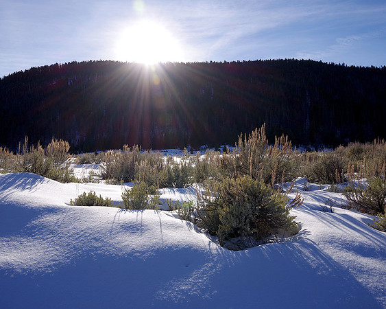 Winter shadows
