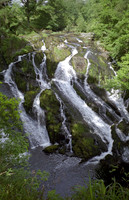 Swallow Falls