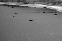 Scottish beach