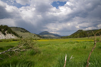 Incoming storm