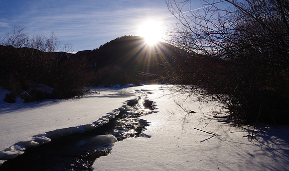 Winter afternoon