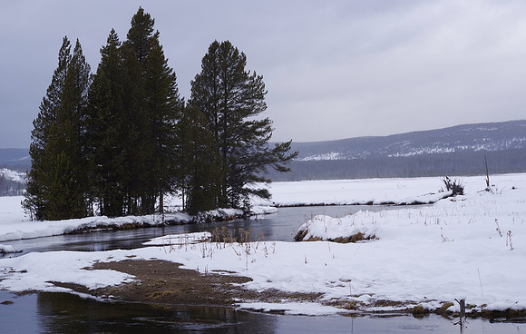 Gibbon bend