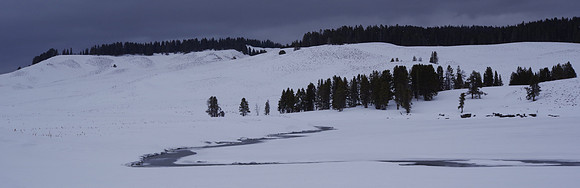 Hayden Valley