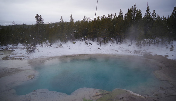 Emerald Spring
