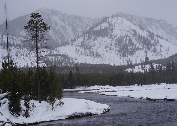 Madison River