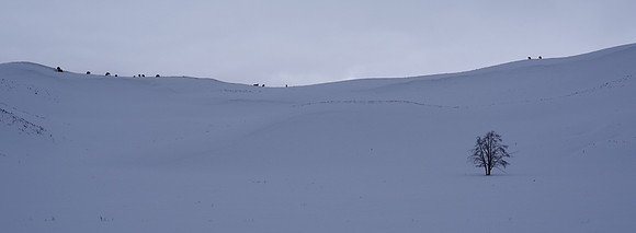 The ridge