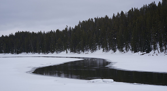 Yellowstone River