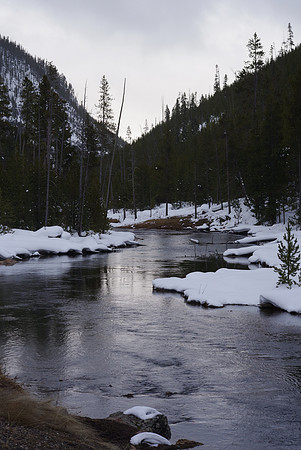 Gibbon River