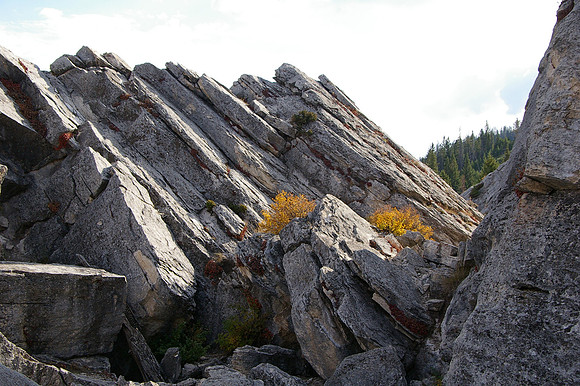 On the rocks