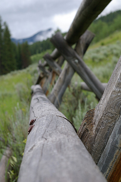Lone Mountain fence