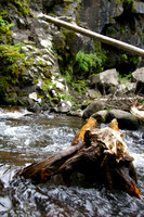 In the river