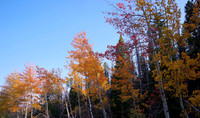 October