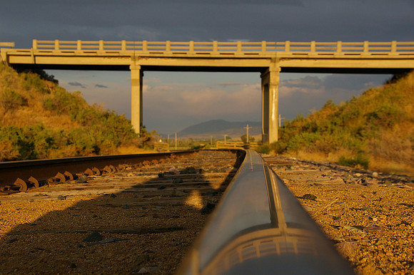Along the rail